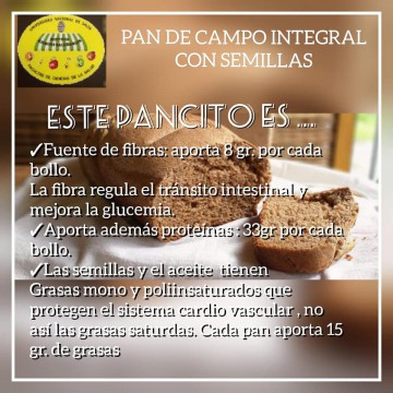 Pan-Integral4.jpg